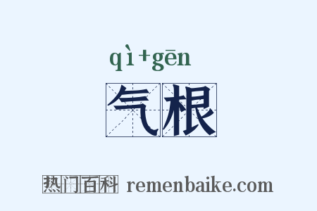 气根是什么意思的图片